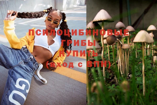 метадон Аркадак