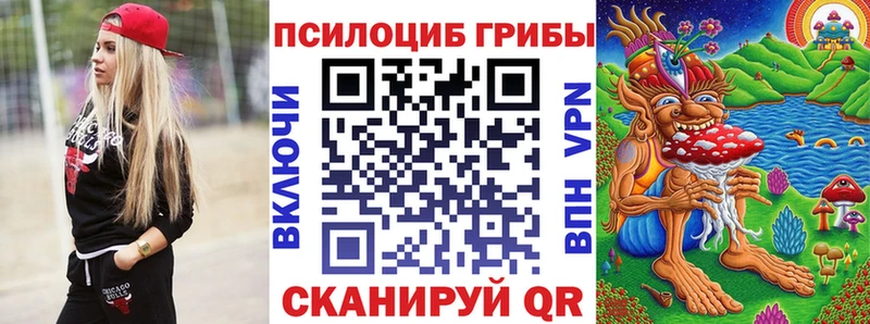 хочу   Ярцево  Галлюциногенные грибы Psilocybe 