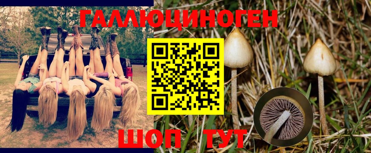 Псилоцибиновые грибы мухоморы Ярцево