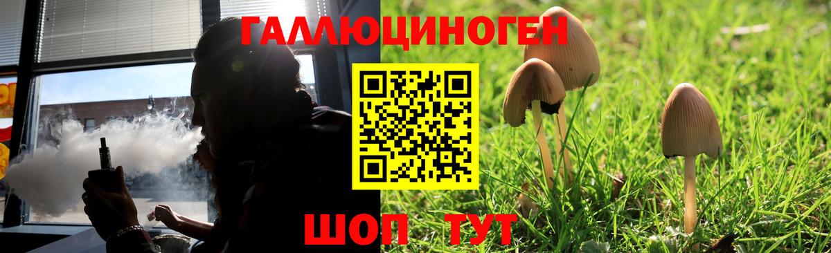 Ярцево  Галлюциногенные грибы прущие грибы  Вход с VPN 